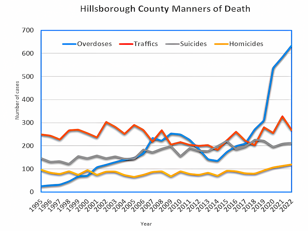 Hillsborough County Florida Opioid Crisis | Florida Rehabs